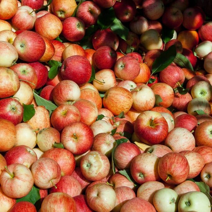 picatti-bros-apples-pumps